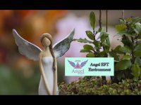 Angel EFT for World Environment Day